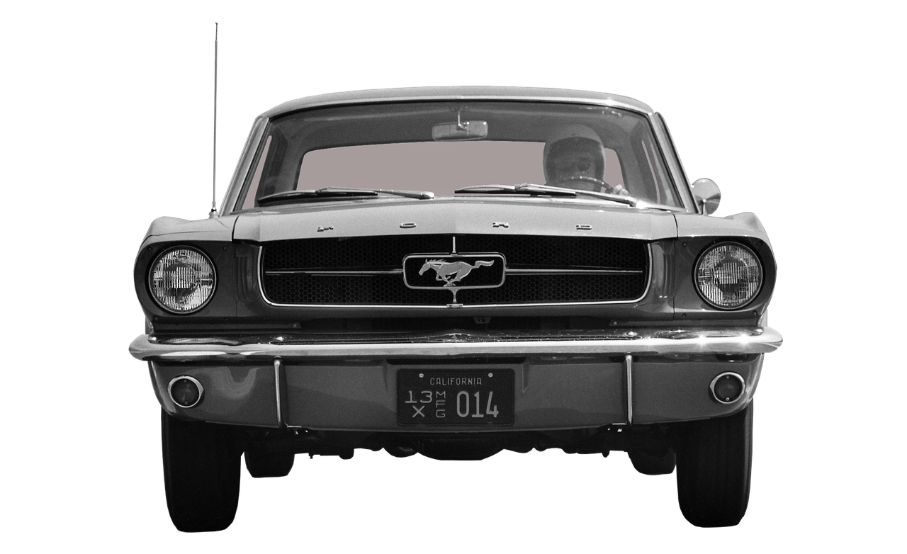 USA car import